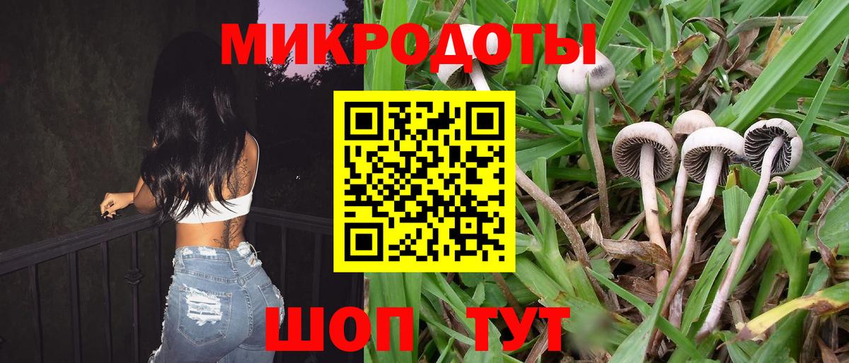 Галлюциногенные грибы мухоморы  Вход с VPN  Гатчина 