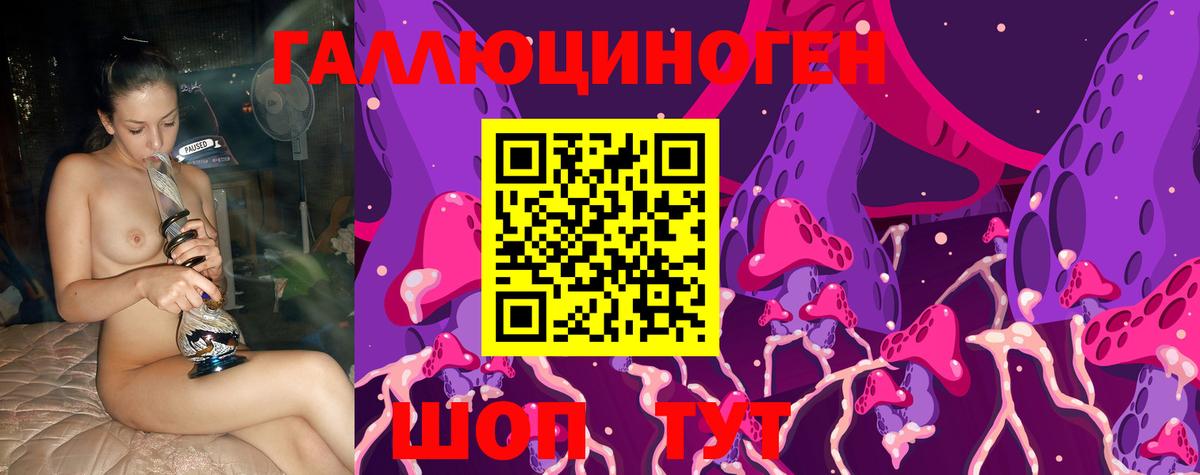 Галлюциногенные грибы MAGIC MUSHROOMS Гатчина